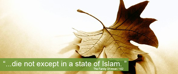 We should die as a Muslim by hook or by crook