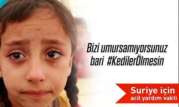 #KedilerÖlmesin