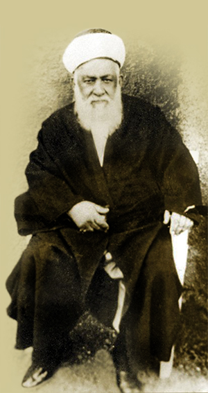Teveccühe Devam