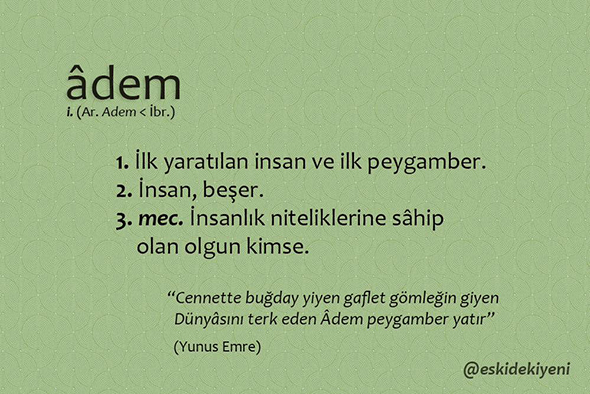 "Türkçe Fakir Değil, Biz Unutkanız."