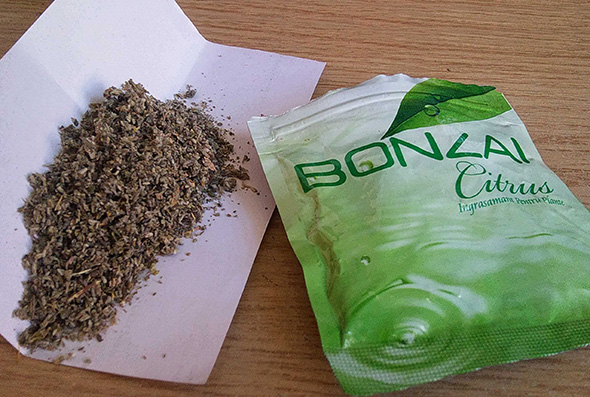 İşi Gücü Bırakalım, Bonzai`ye Bakalım!