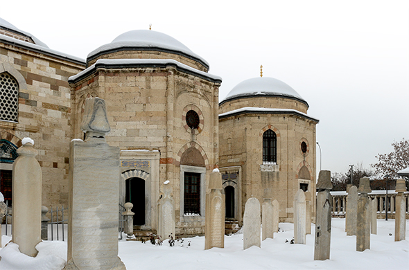 Gök Çiçek
