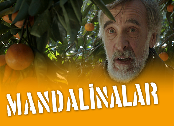 Mandalinalar