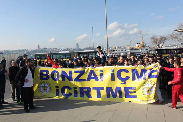 Bonzai`ye Karşı Sağduyu