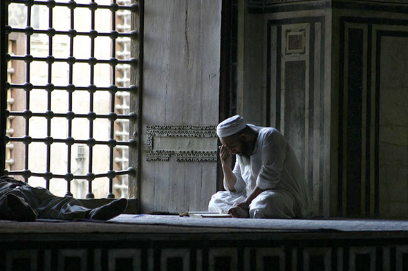 Dayanışma ve Refah Toplumu