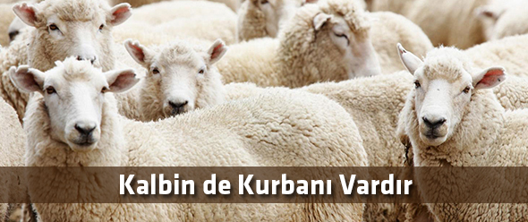 Kalbin de Kurbanı Vardır