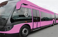 Pembe Metrobüse Evet!
