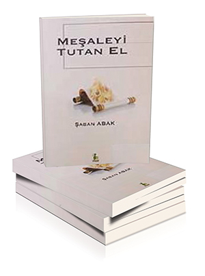 Hohlayarak Buzdağını Eritenler