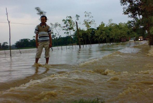 Terrible Disasters