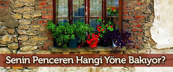Senin Penceren Hangi Yöne Bakıyor?