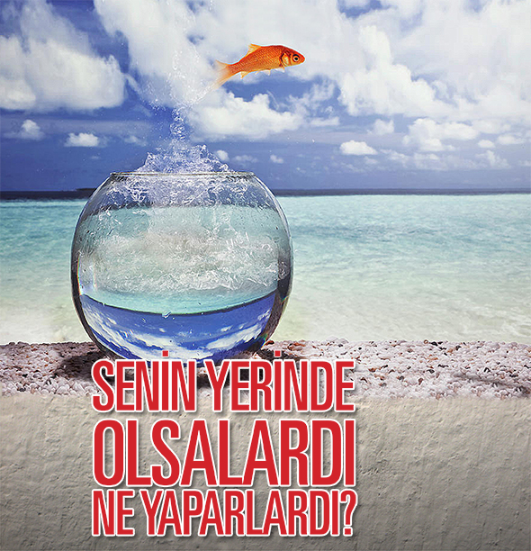 Senin Yerinde Olsalardı Ne Yaparlardı?