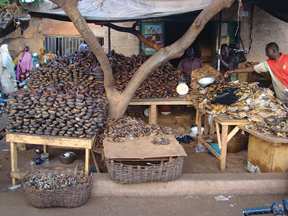 Acemiler İçin Burkina Faso Rehberi