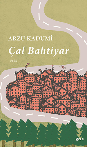 Bir Tesellinin Kitabı