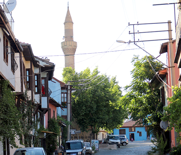 Bin Yıllık Çınar