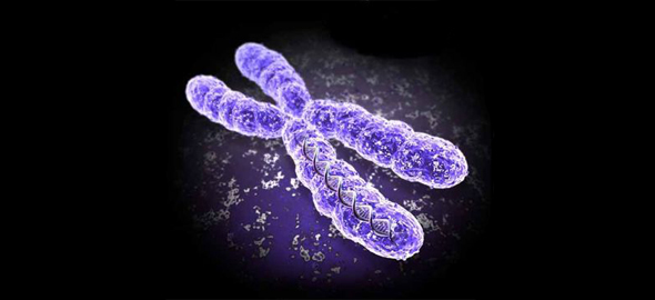 DNA Şifresini Kaç Saatte Çözersin?