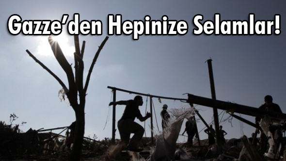 Vahşetin Yüzde Biri!