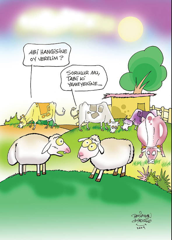 Hangisine Oy Verelim?