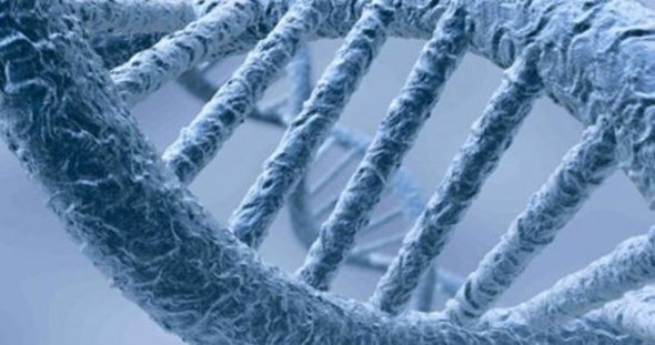 DNA`sında Hikâye Gizli