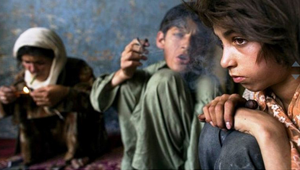 Afganistan`da En Ucuz Gıda Maddesi; Afyon!