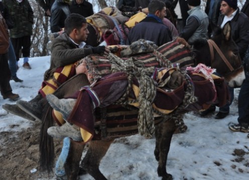 Uludere`de Sınıfta Kaldık!