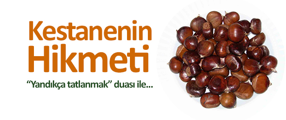 Kestanenin Hikmeti