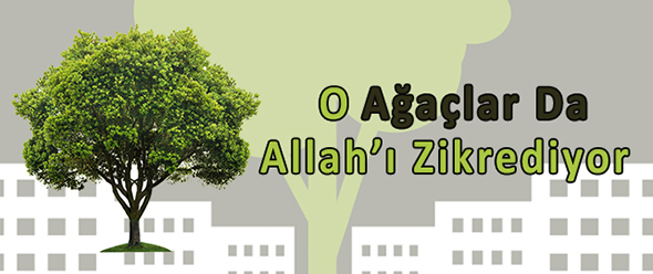 O Ağaçlar Da Allah`ı Zikrediyor
