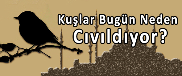 Kuşlar Bugün Neden Cıvıldıyor?