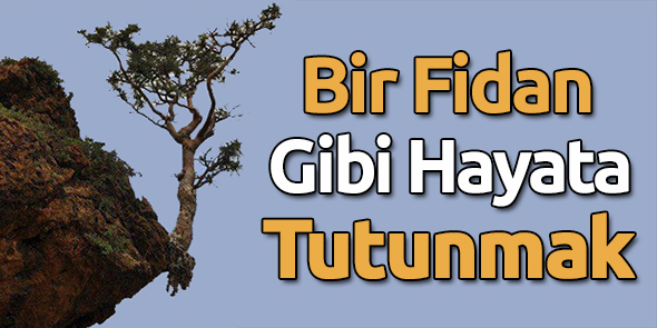 Bir Fidan Gibi Hayata Tutunmak