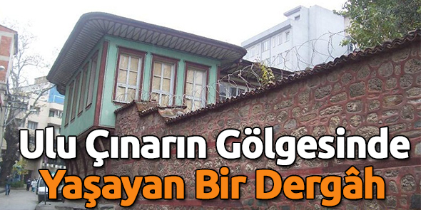 Ulu Çınarın Gölgesinde Yaşayan Bir Dergâh