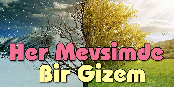 Her Mevsimde Bir Gizem
