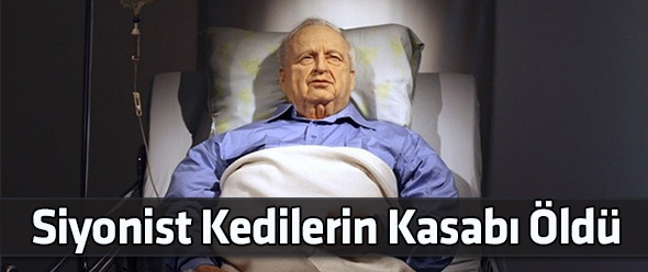 Siyonist Kedilerin Kasabı Öldü
