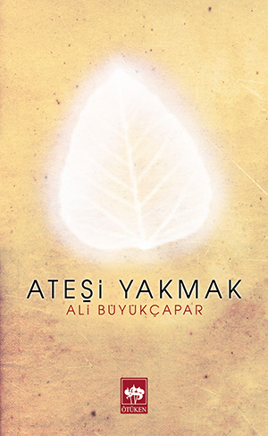 İçinizi Isıtacak Şiirler