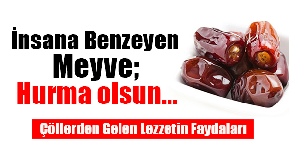 İnsana Benzeyen Meyve; Hurma Olsun...