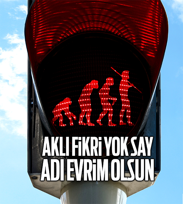 Aklı Fikri Yok Say Adı Evrim Olsun