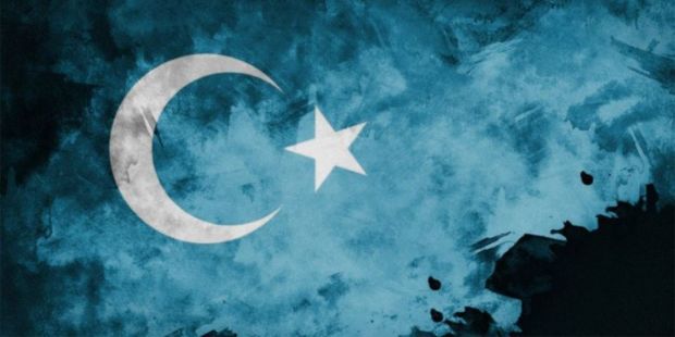 Kalemin Dilinden Türkistan