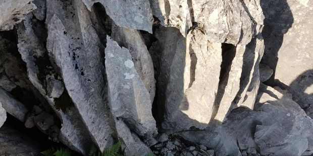 Niye Giden Gelmez?
