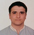 Nektel Demir